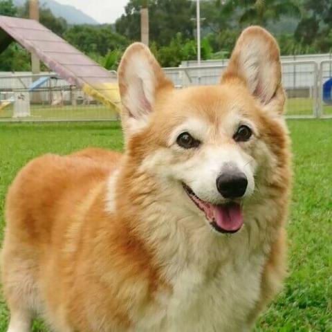 veterinary hospital 兽医医院